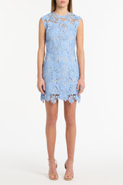 CELESTE 3D LACE SHIFT DRESS