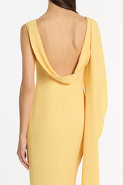 POLLEN CREPE COWL BACK GOWN